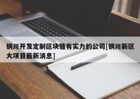 铜川开发定制区块链有实力的公司[铜川新区大项目最新消息]